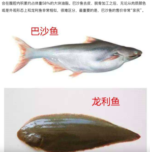 basa fish vs flounder fish