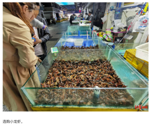 Sichuan crayfish