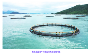 deep sea aquaculture cage