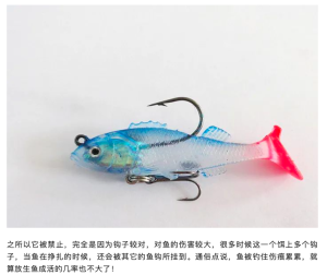 illegal lure fishing tackle