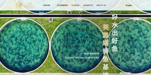 Runzhao Fishery official website