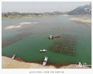 Artificial fish farm