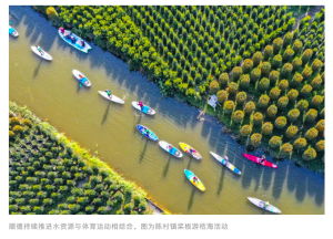 Chencun Town Paddle Board Activity